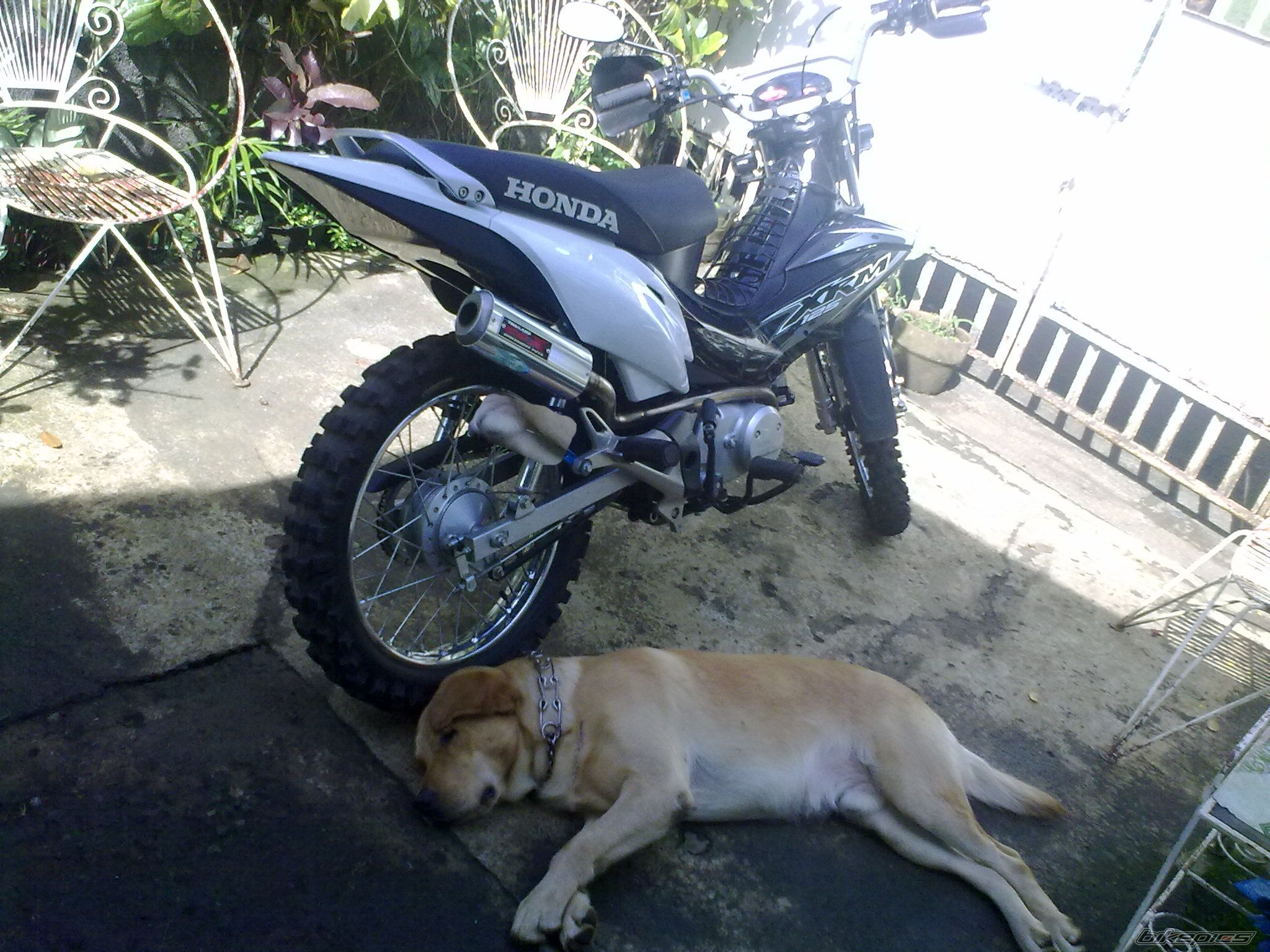 Bike Photo 2209002
