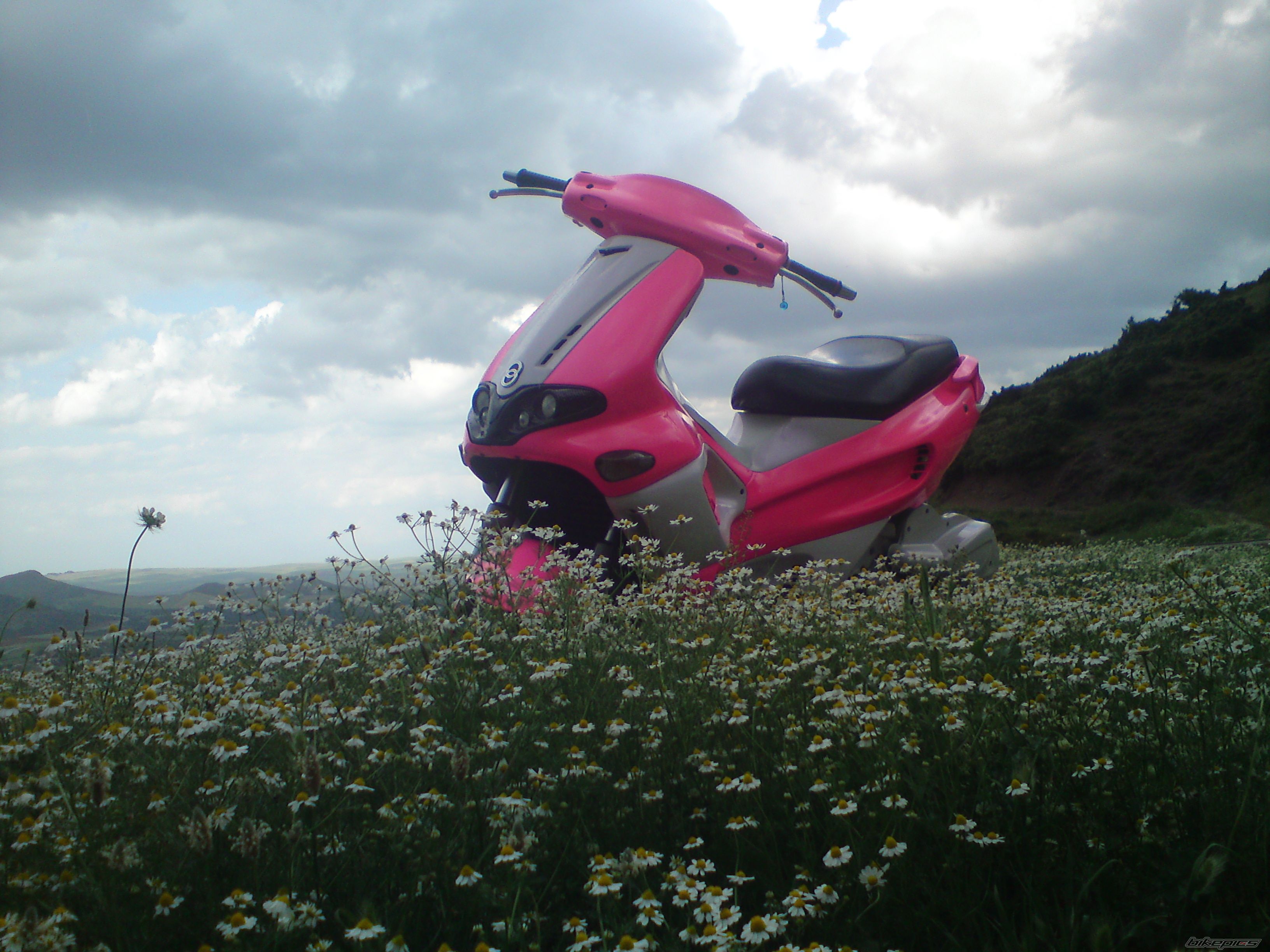 Bike Photo 2209211