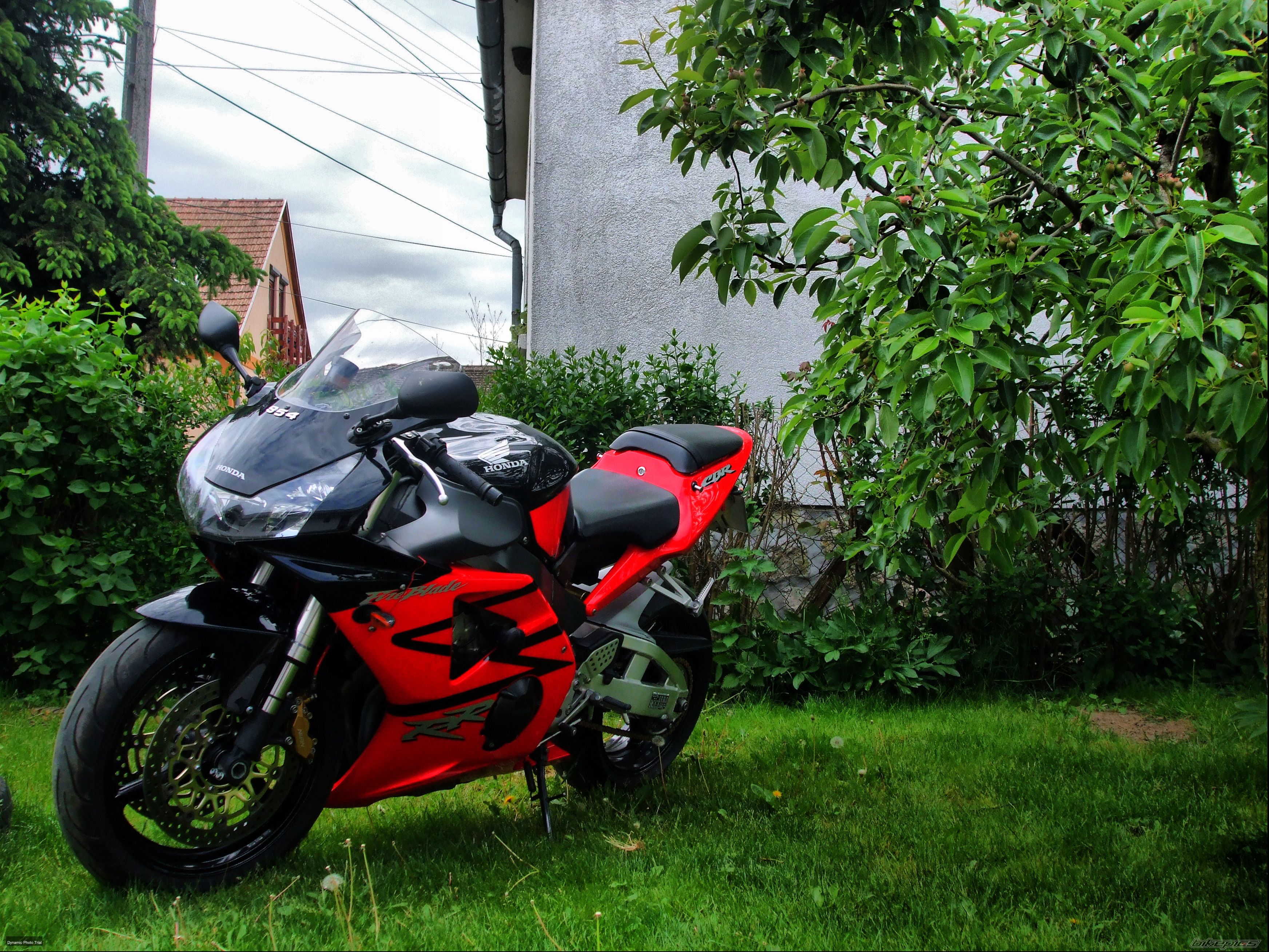 Photo 2209230