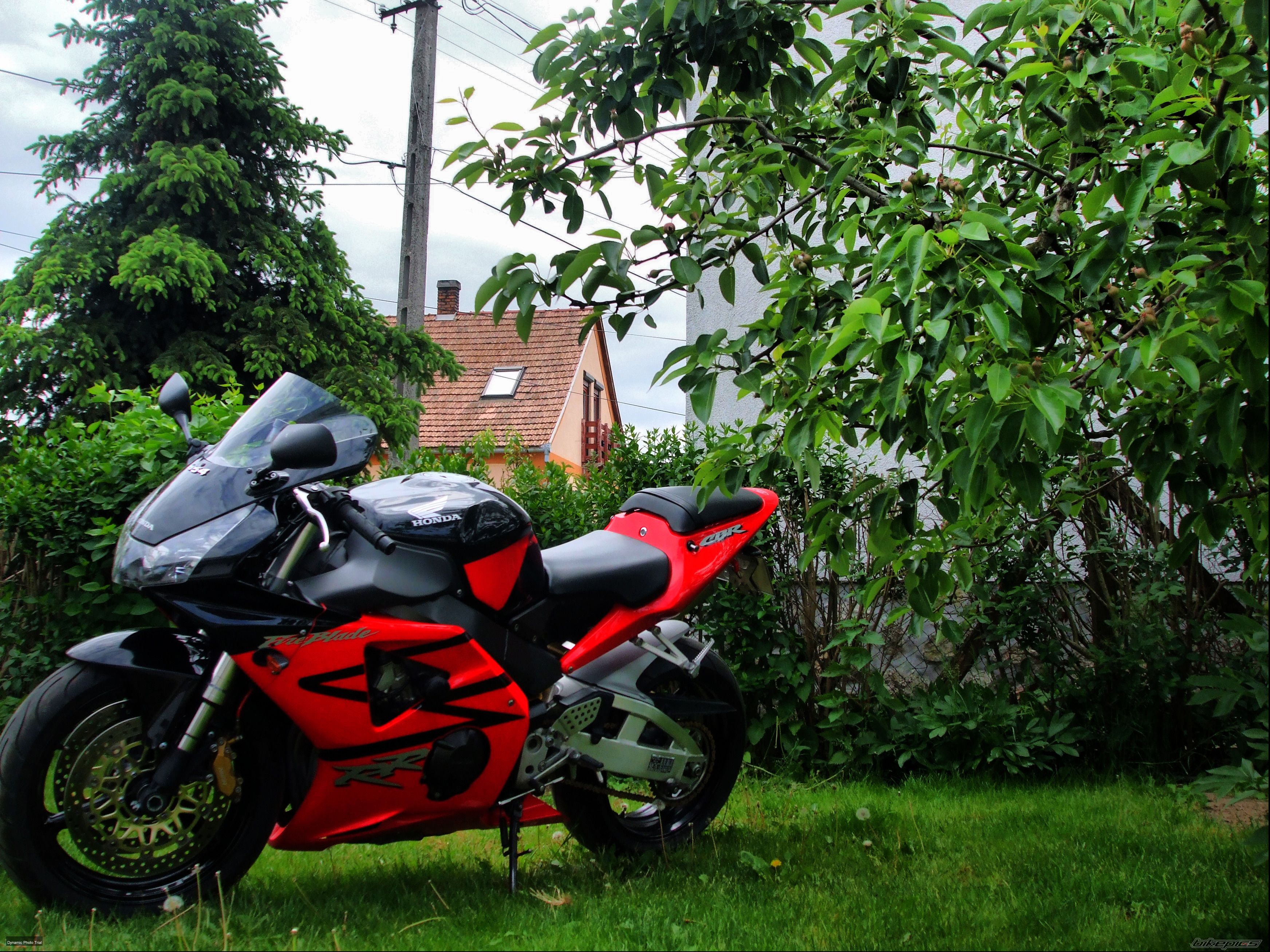 Photo 2209232