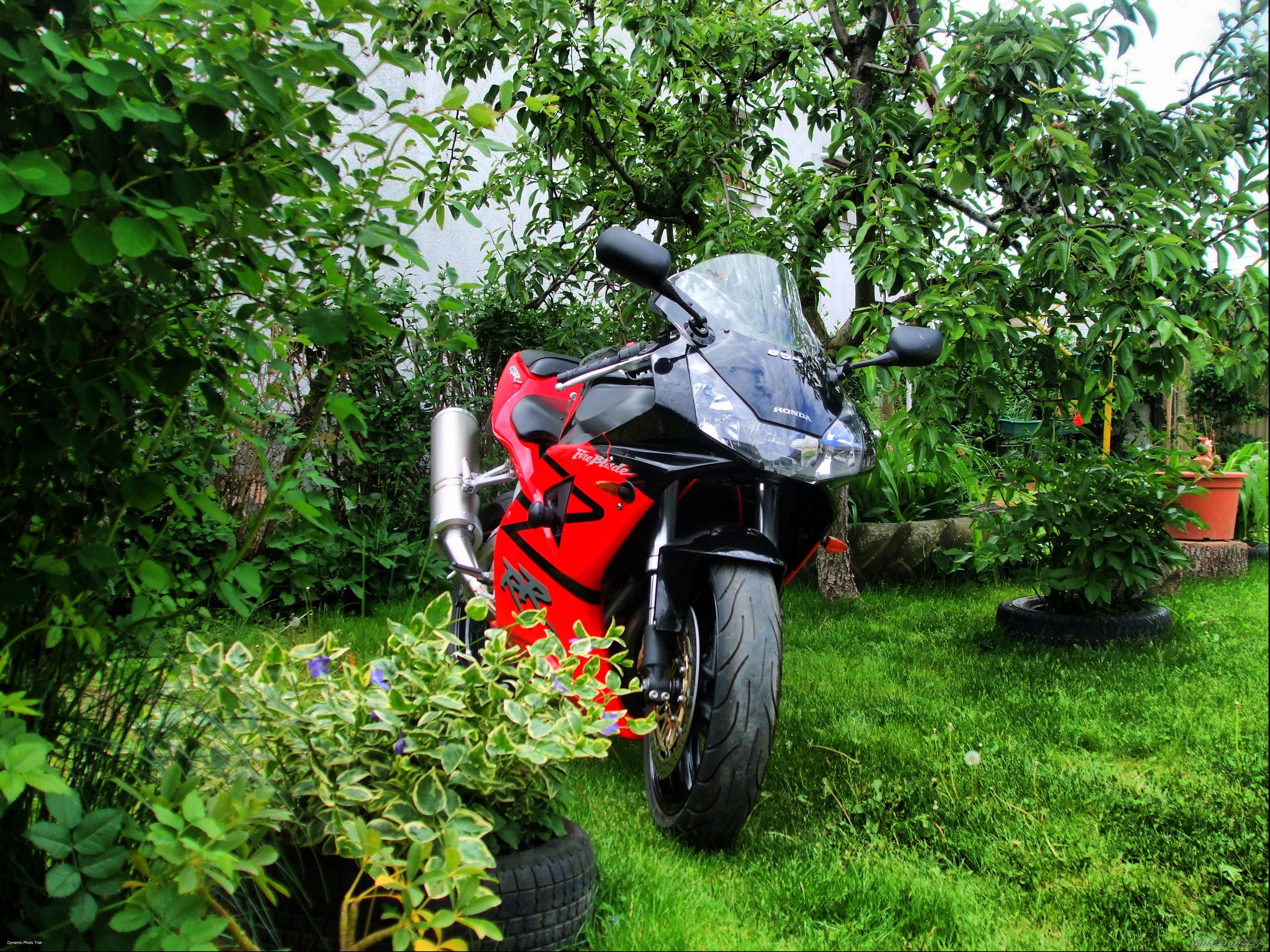 Photo 2209235