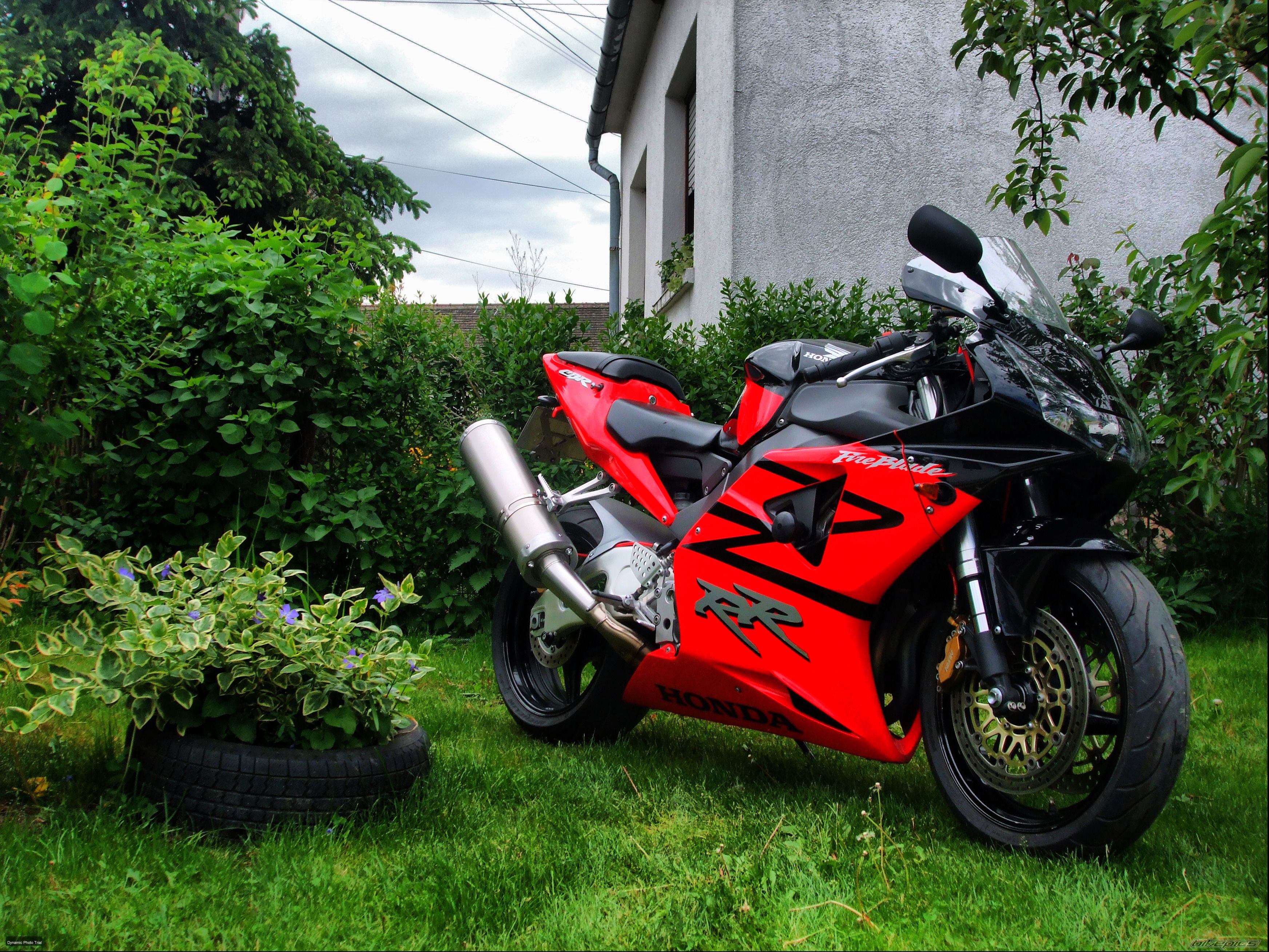 Photo 2209236