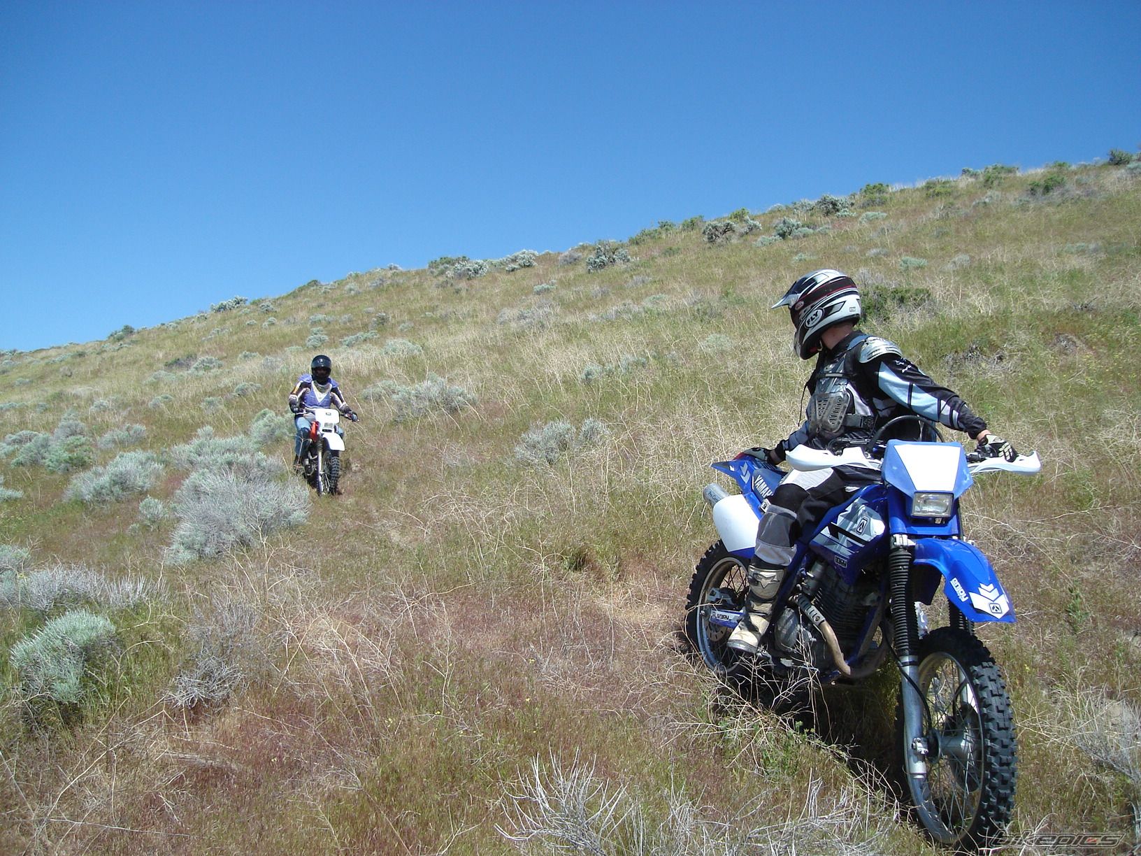 Photo 2209412