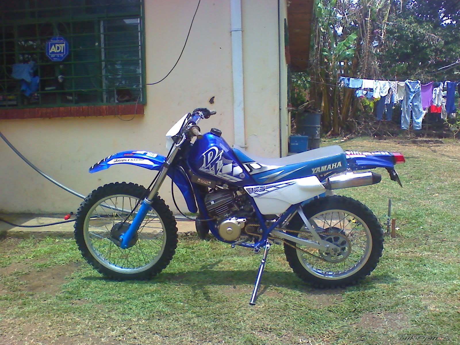 Photo 2209654
