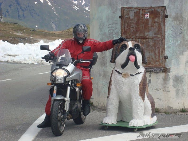 Photo 2209712