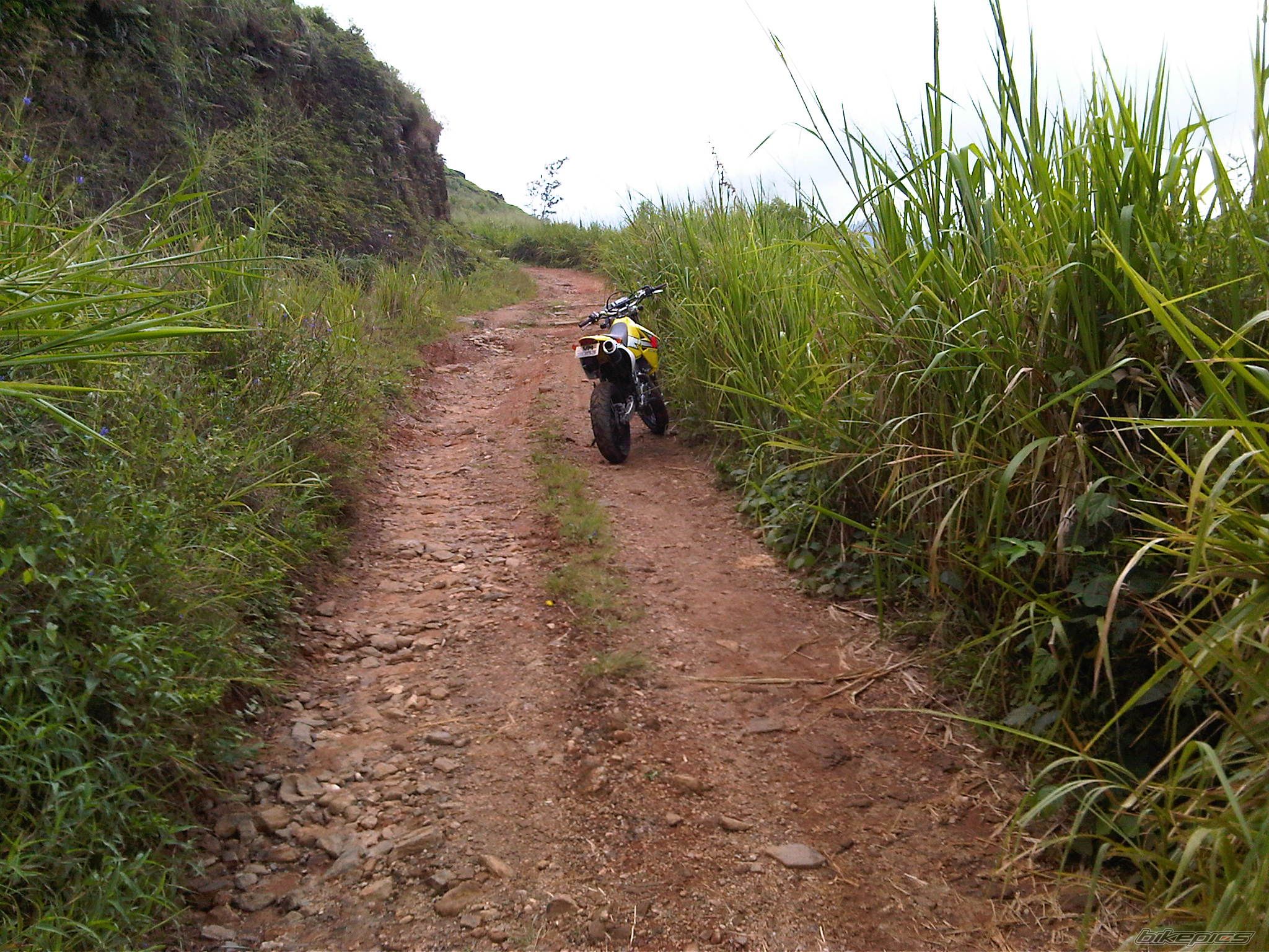 Photo 2209892