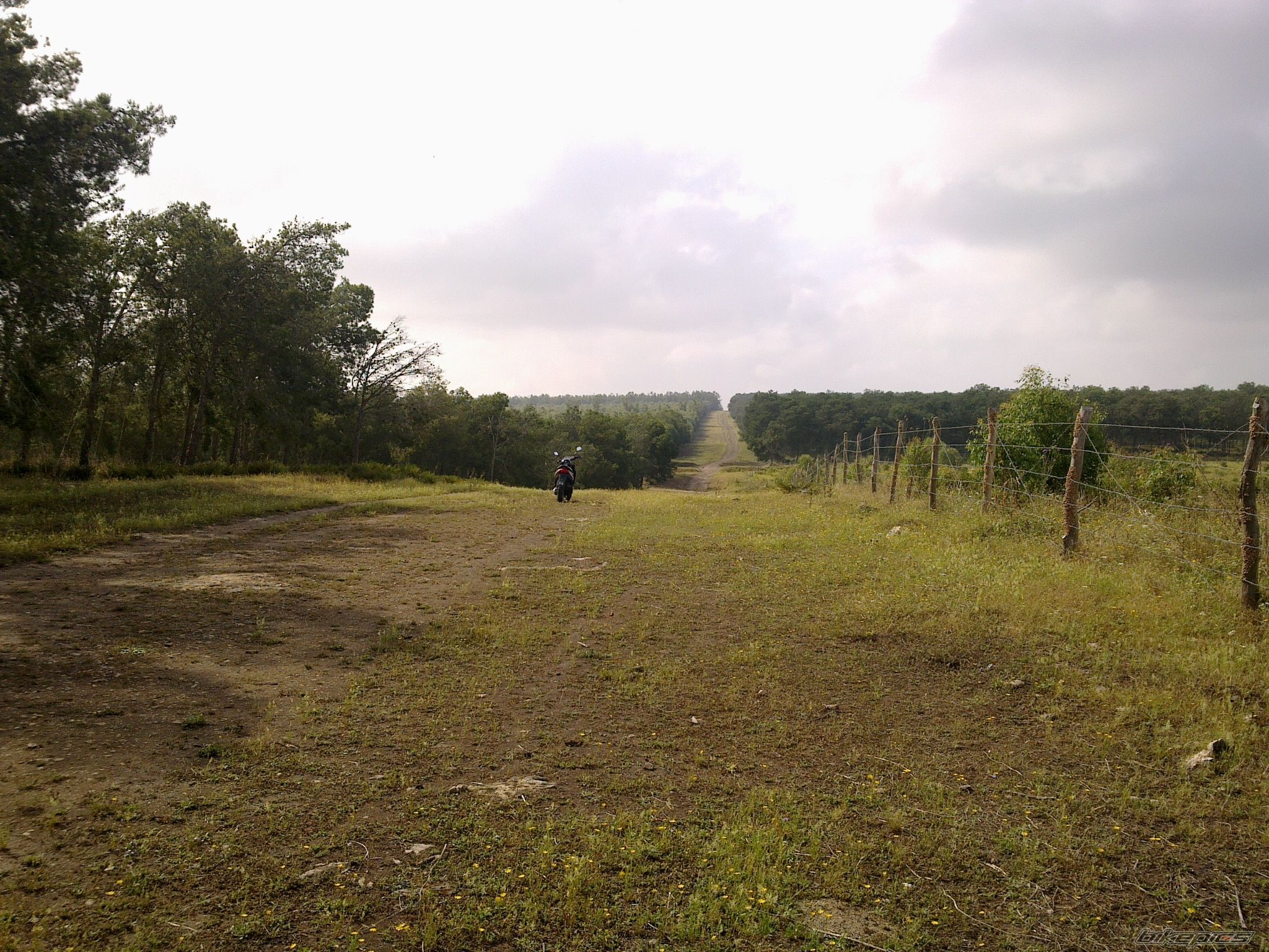 Photo 2210357