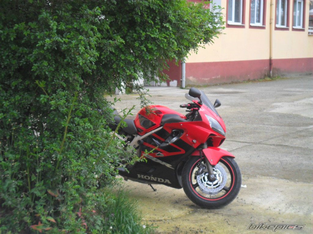 Photo 2210413