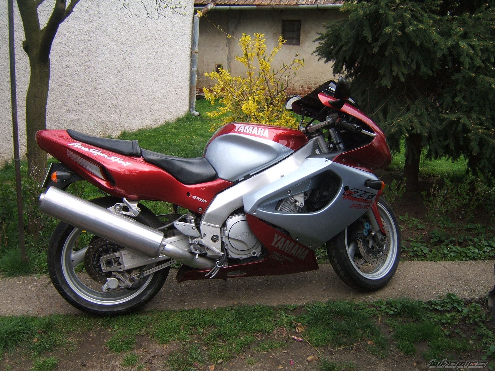 Photo 2210481