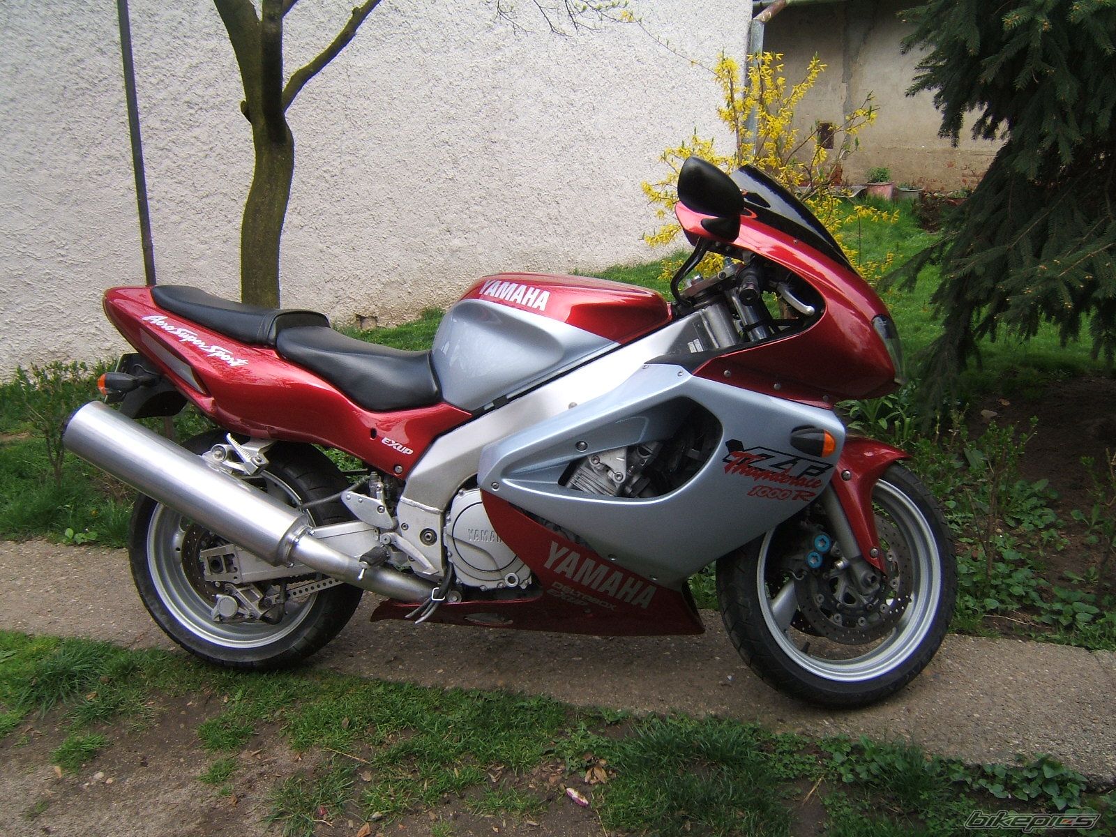Photo 2210485