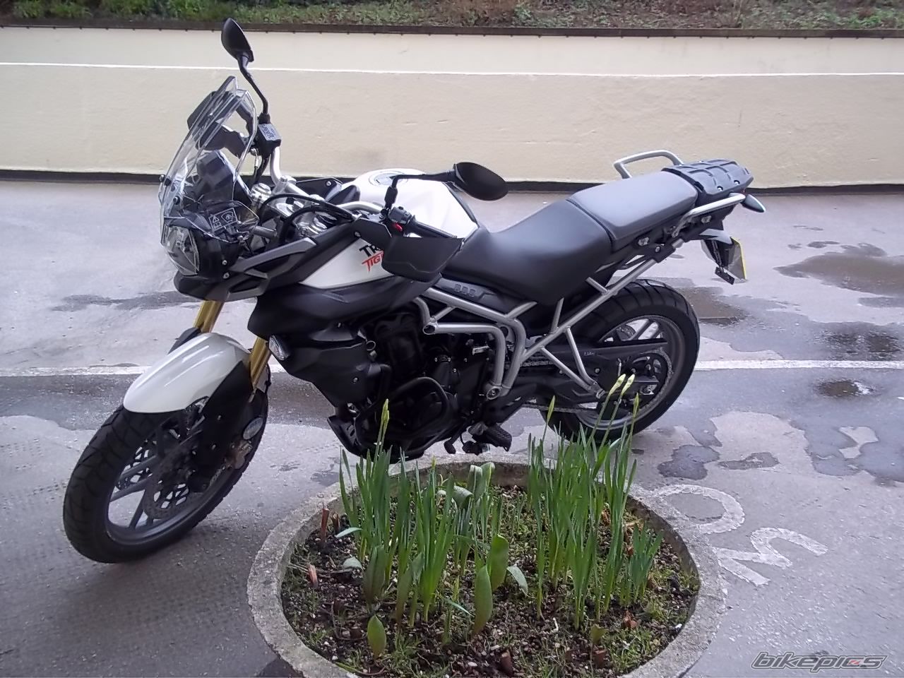 Bike Photo 2210542