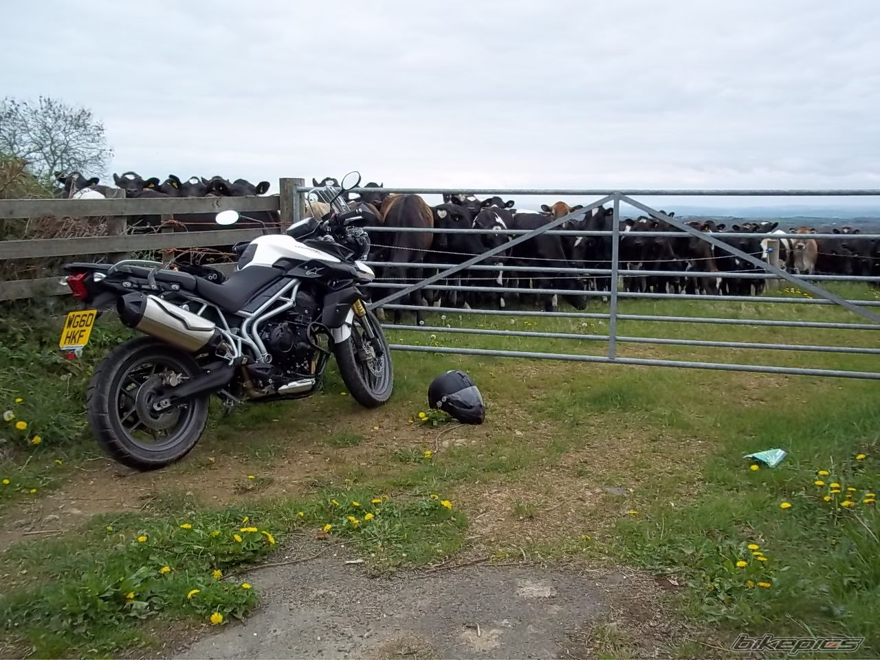 Bike Photo 2210555