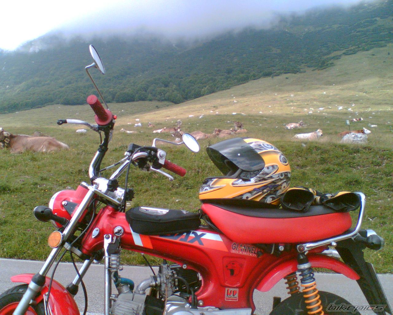 Photo 2210670