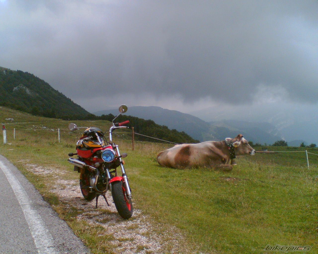 Photo 2210673