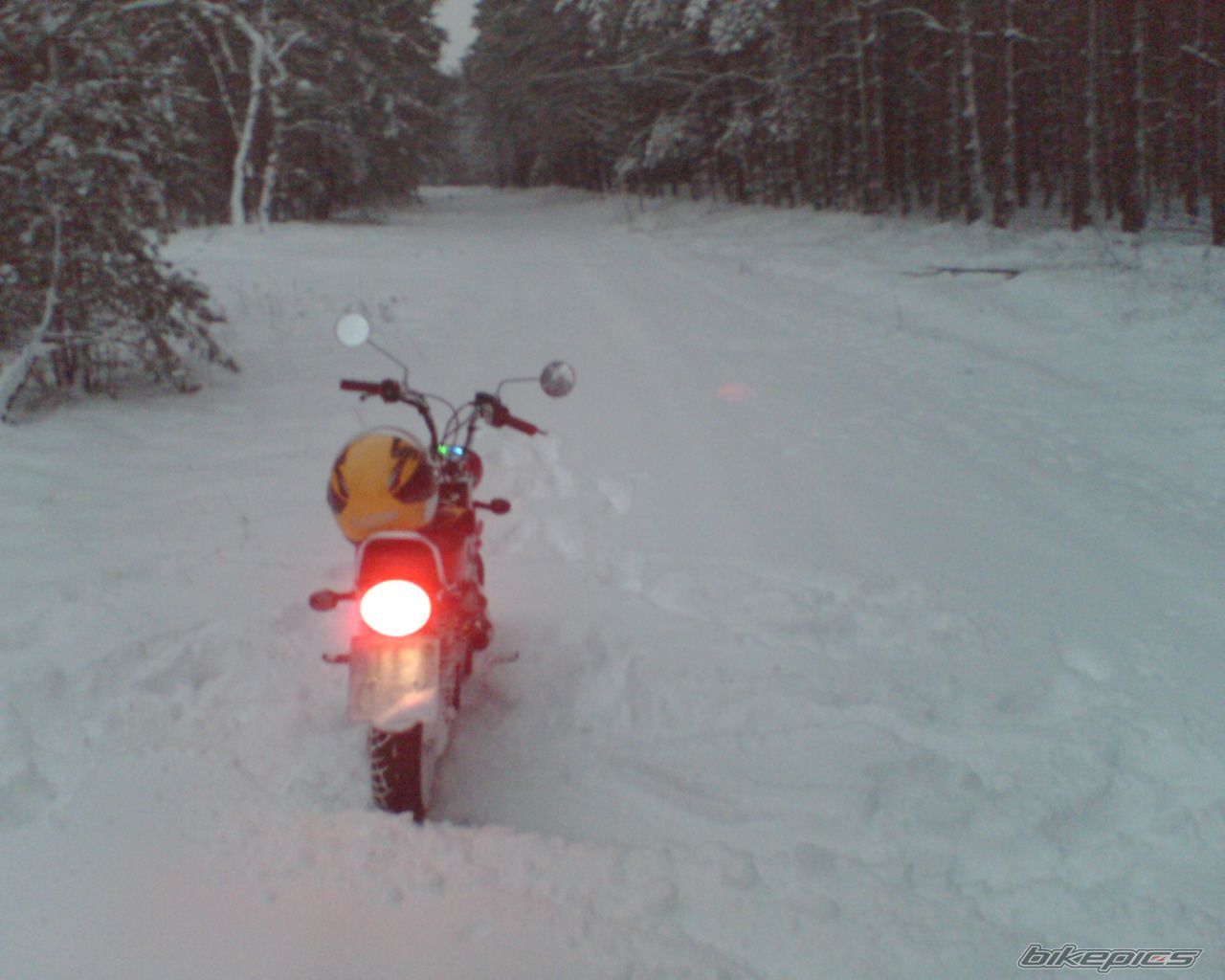 Photo 2210679