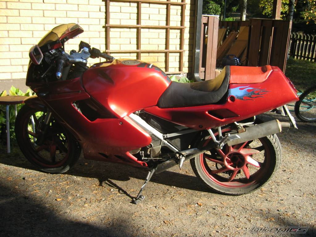 Photo 221068