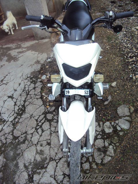 Photo 2210729