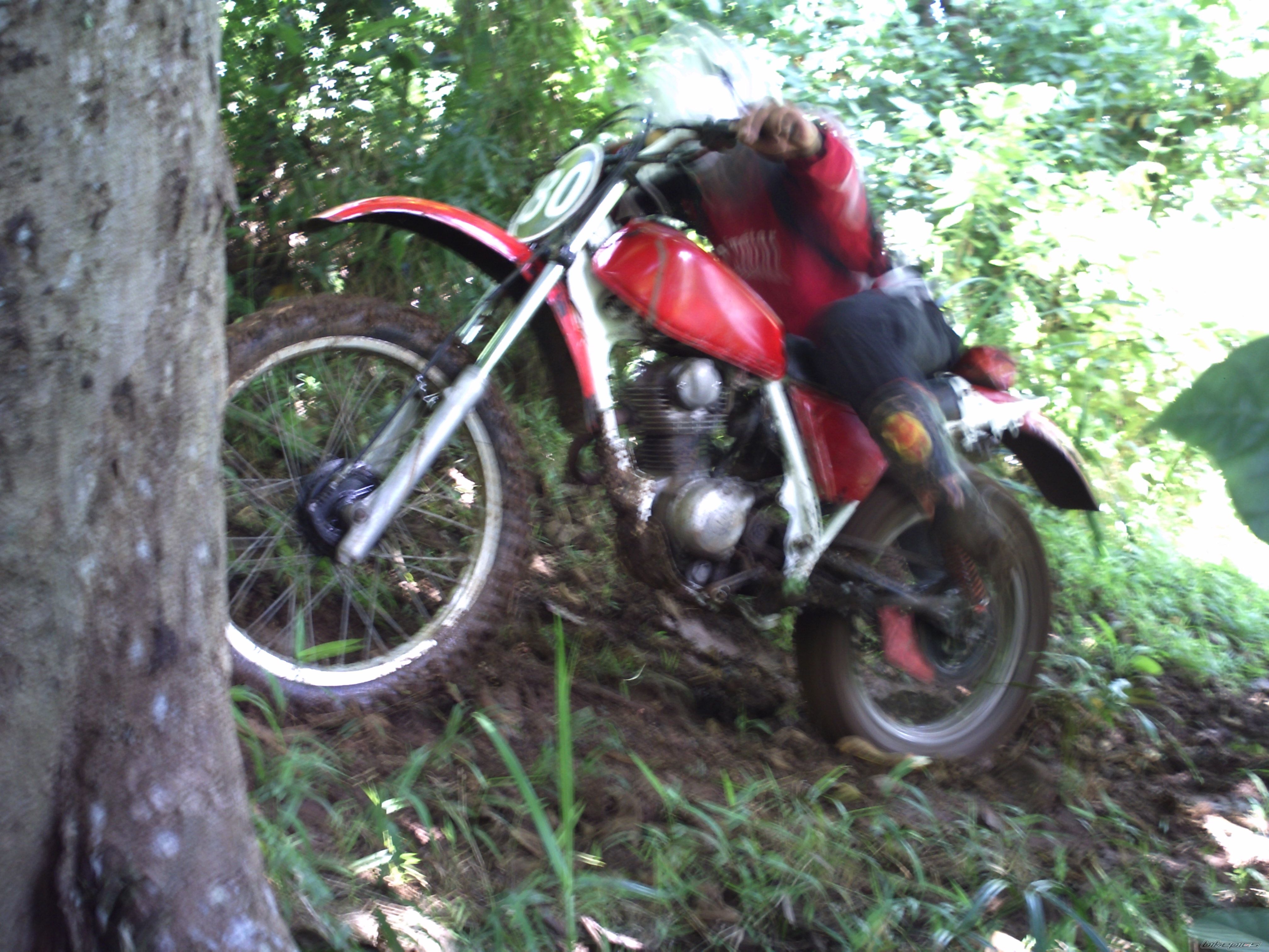 Photo 2210921