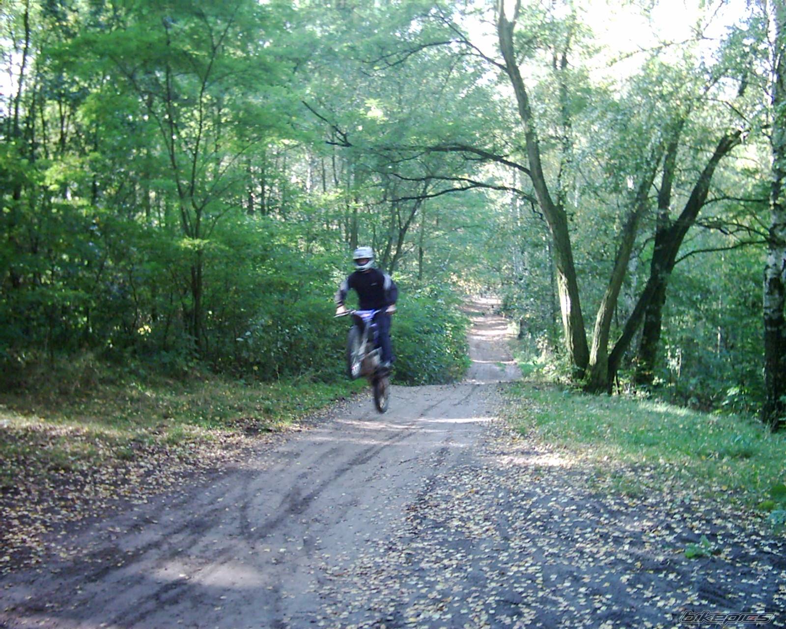 Photo 221102