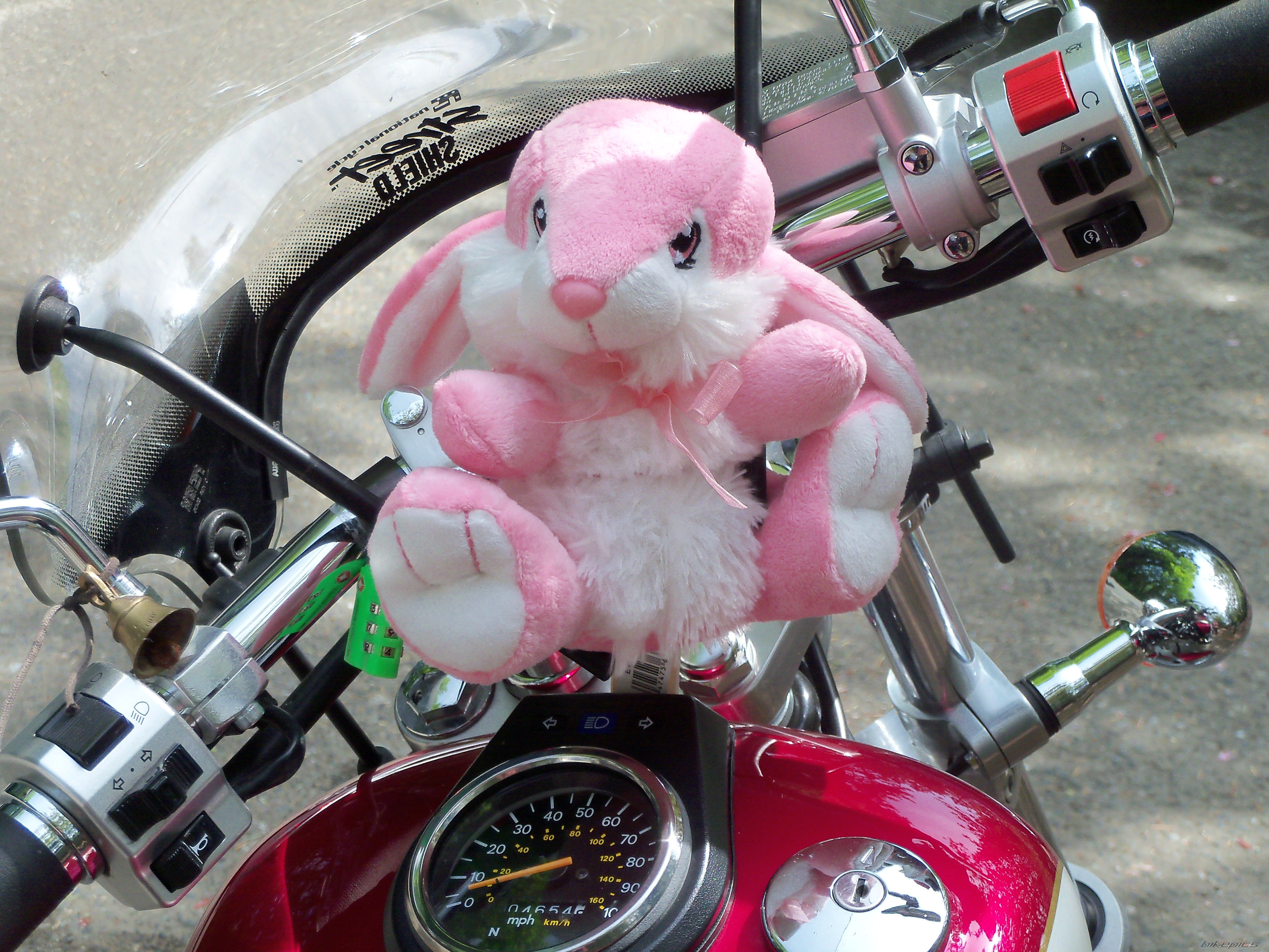 Photo 2211250
