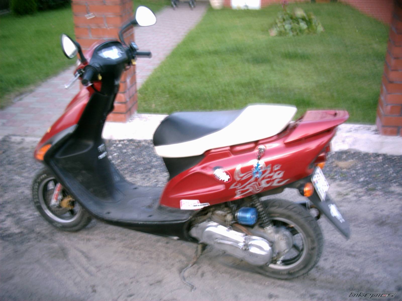 Photo 221131