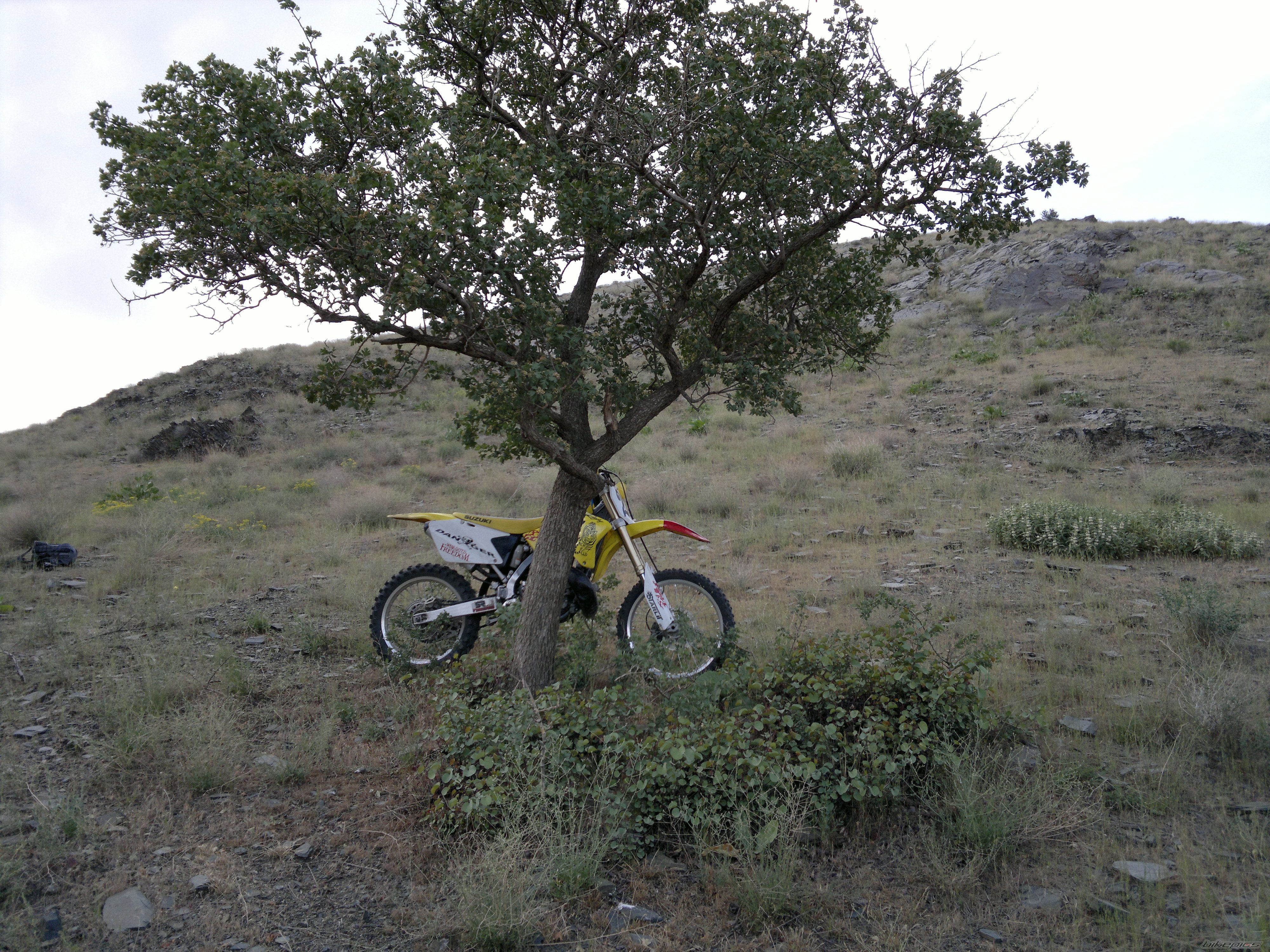 Bike Photo 2211325