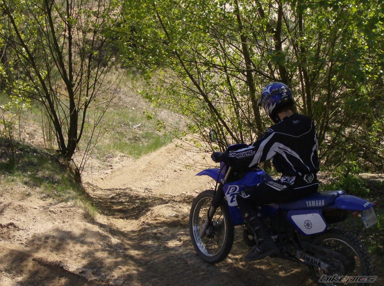 Photo 2211377