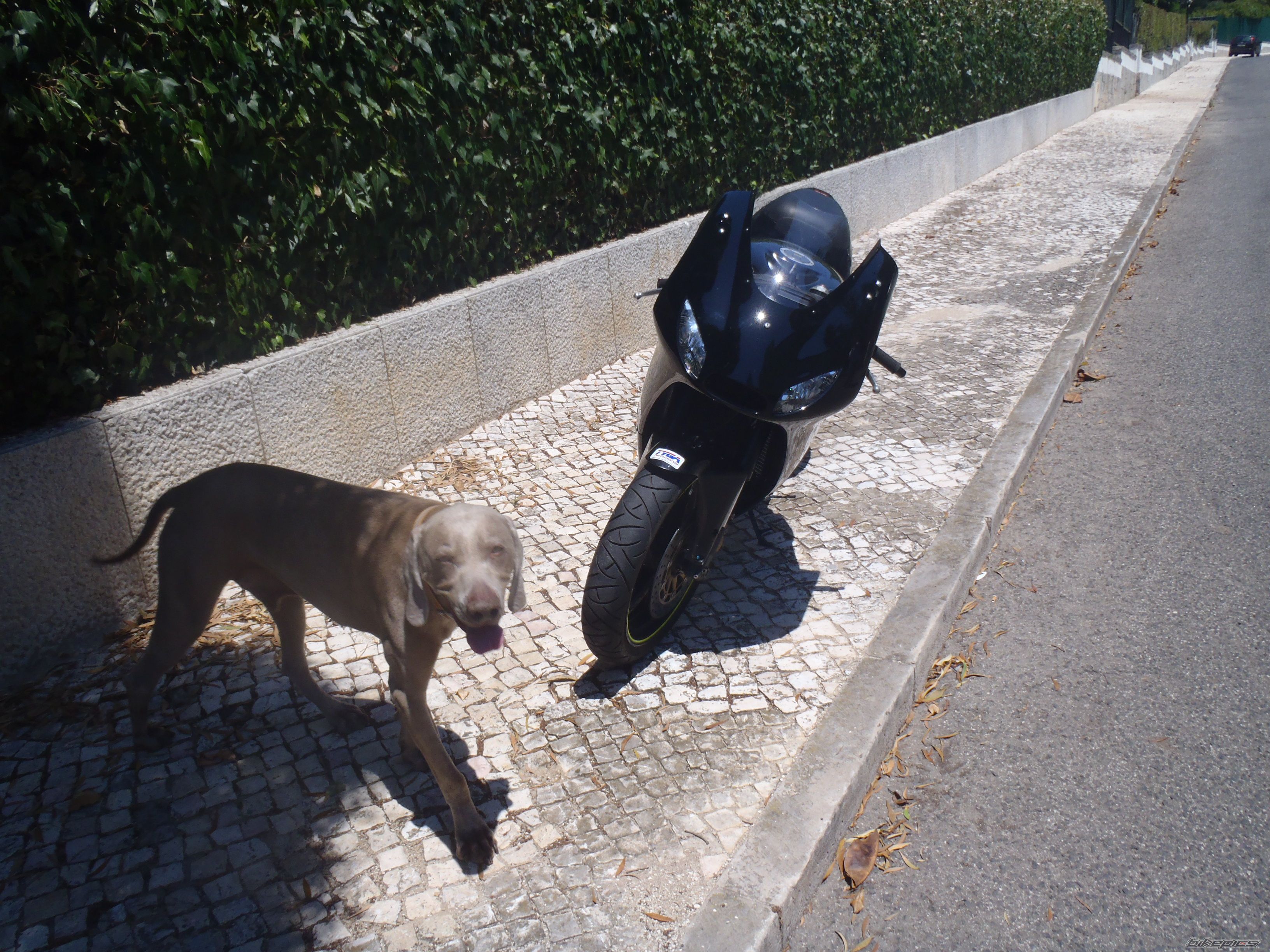 Bike Photo 2211513