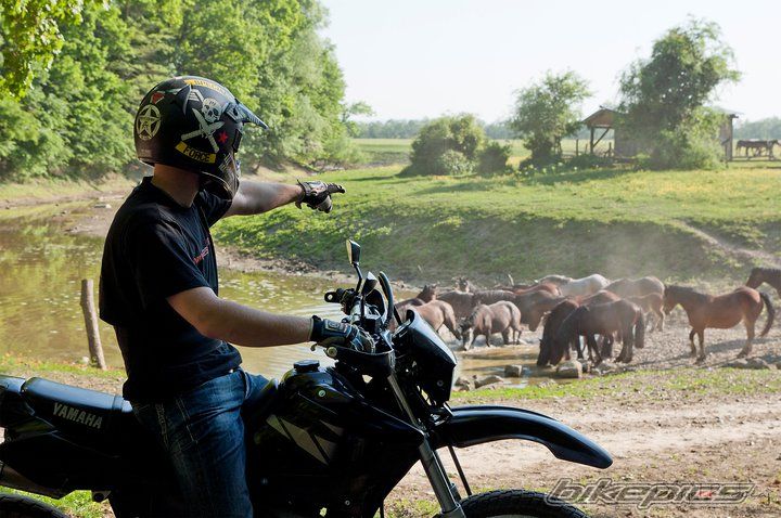 Bike Photo 2211666