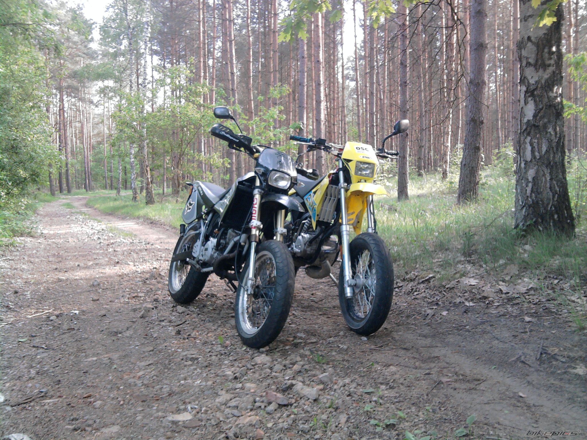 Photo 2211715