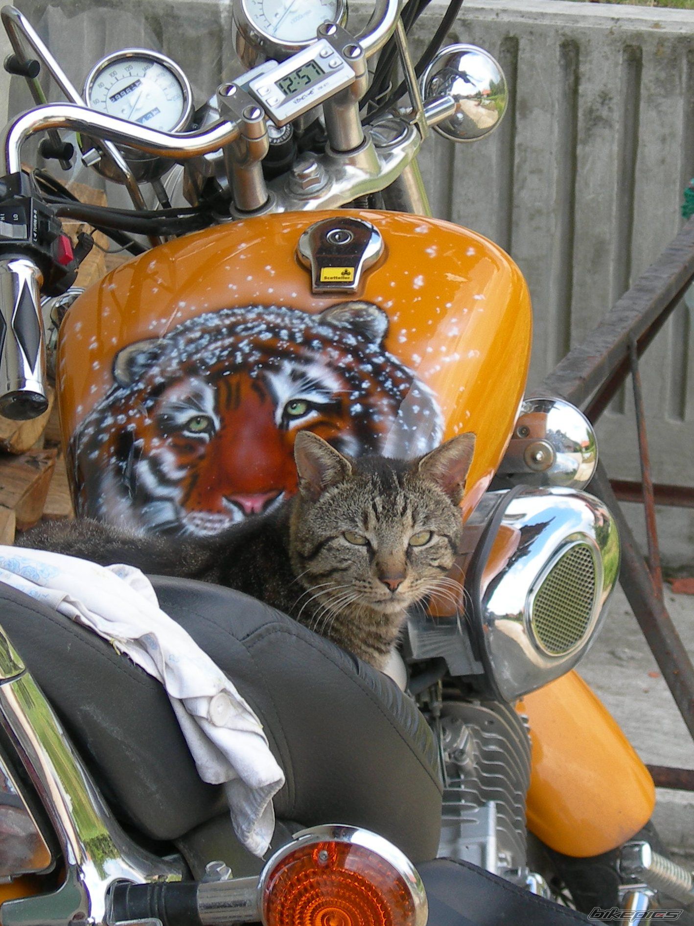 Bike Photo 2211747