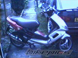 Photo 221178