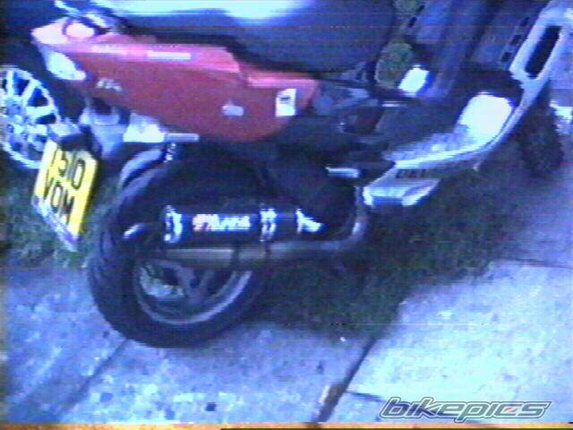 Photo 221179