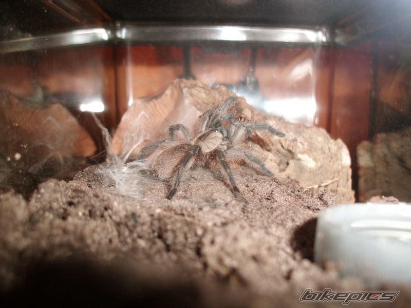 Photo 2212045