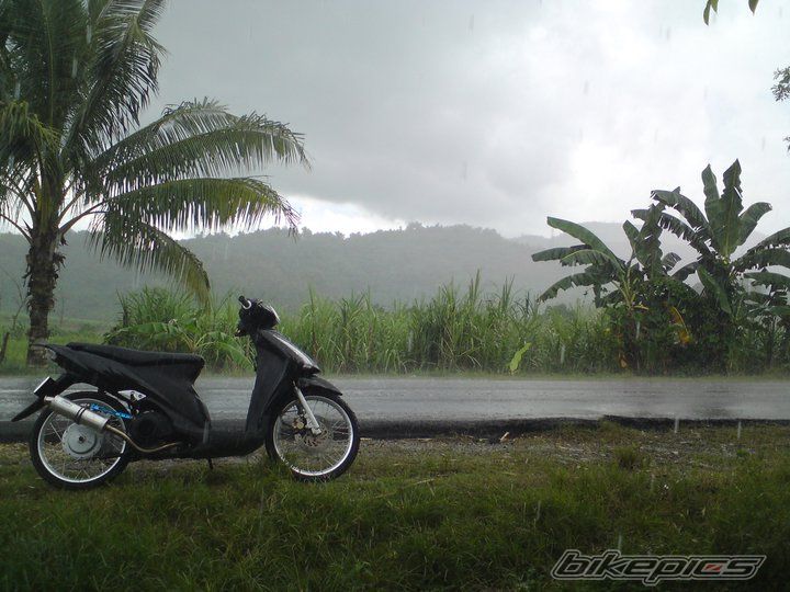 Photo 2212409