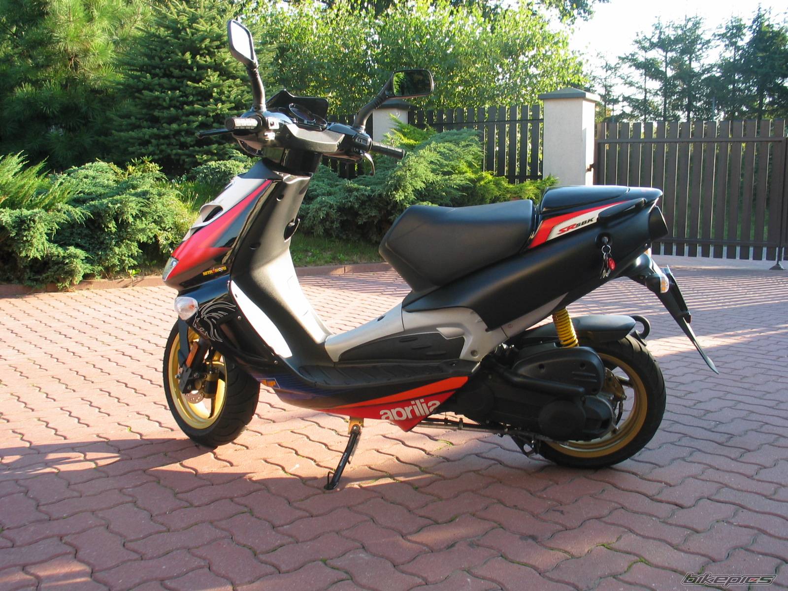 Photo 221241