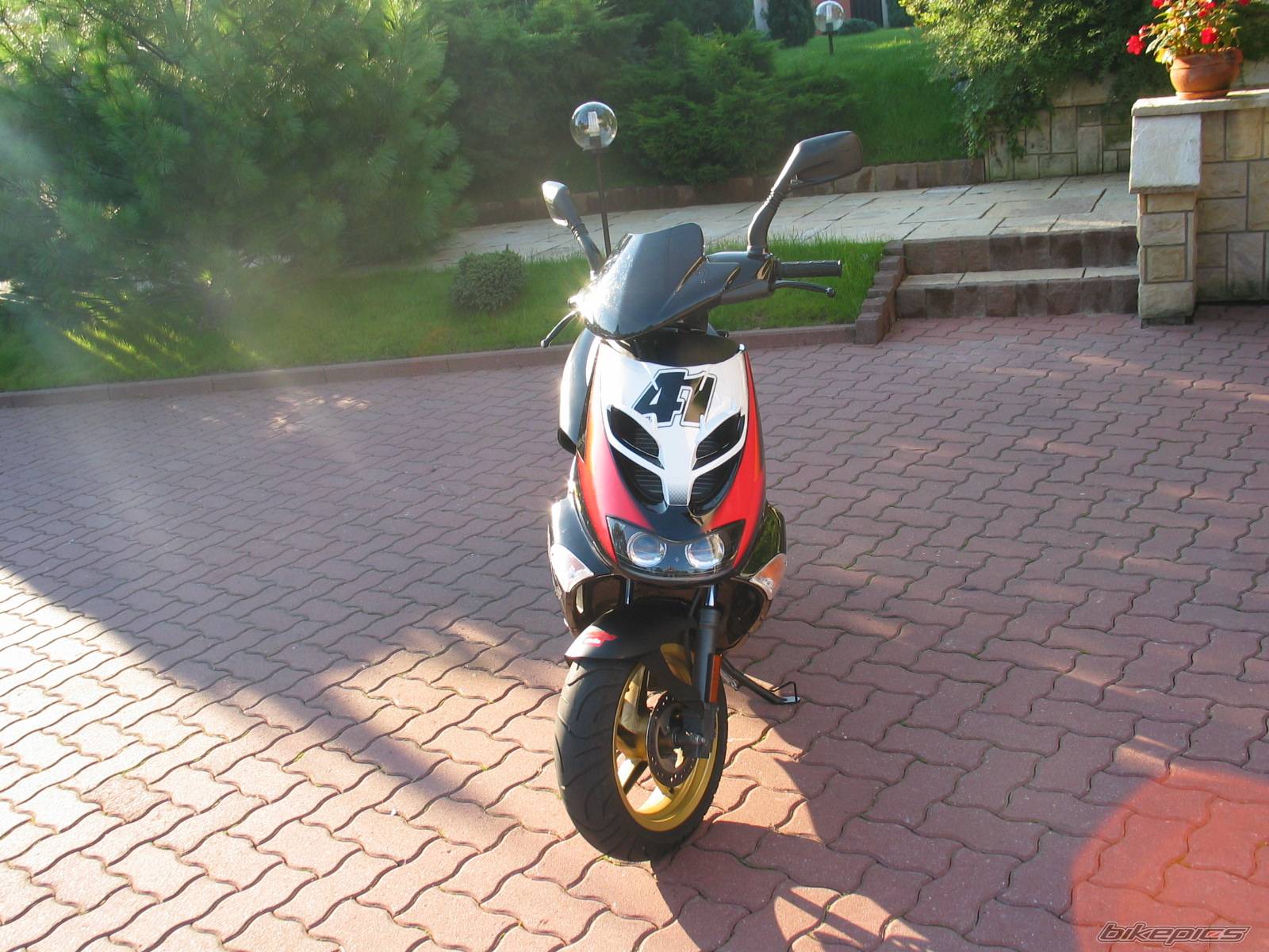 Photo 221242