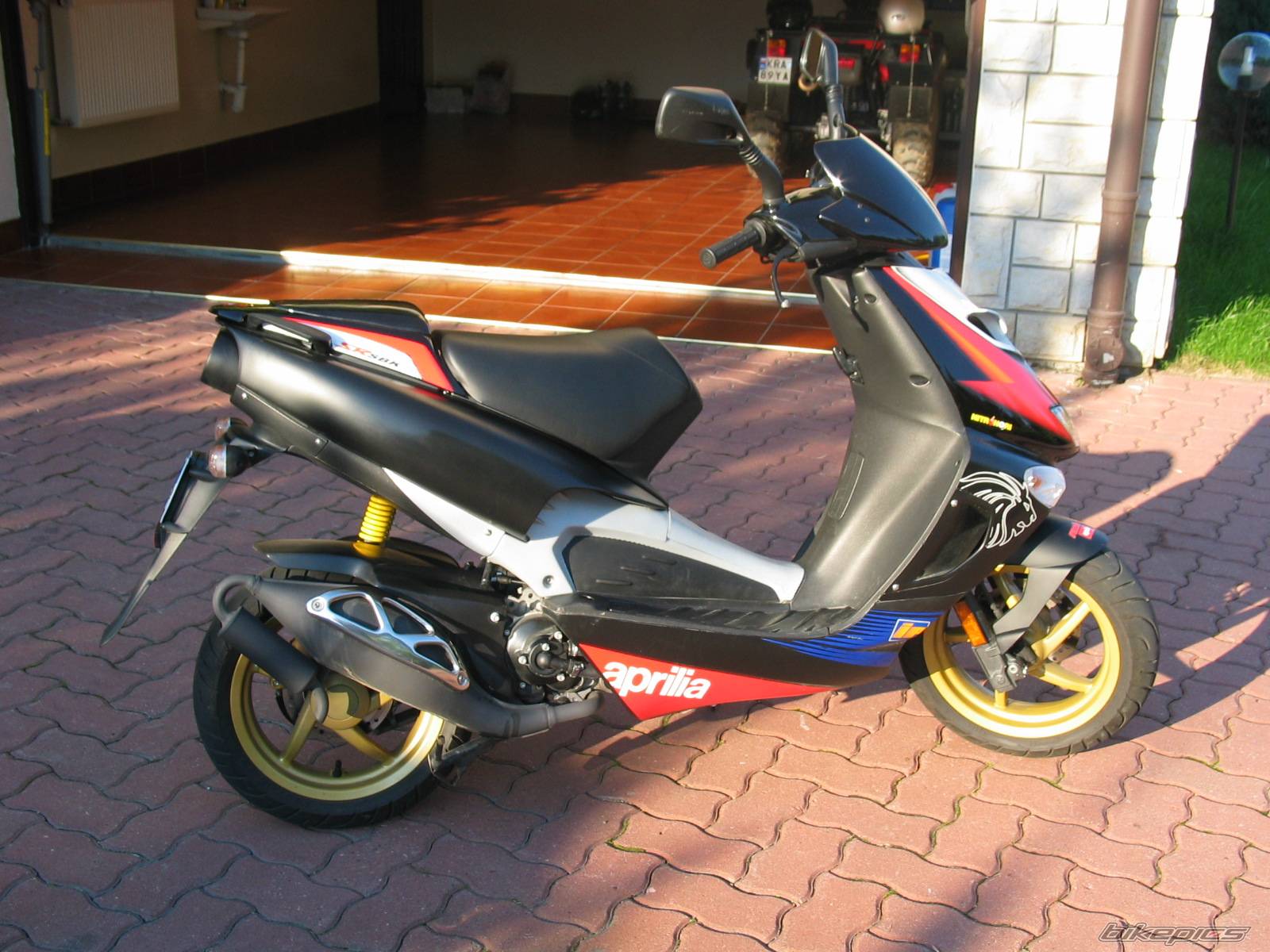 Photo 221243