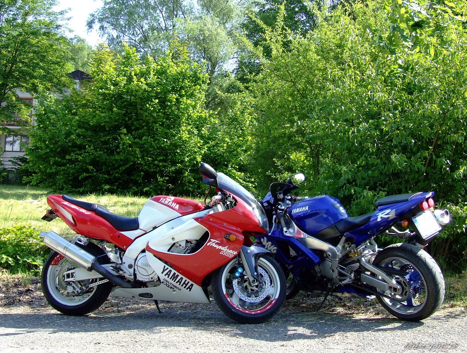 Photo 2212594