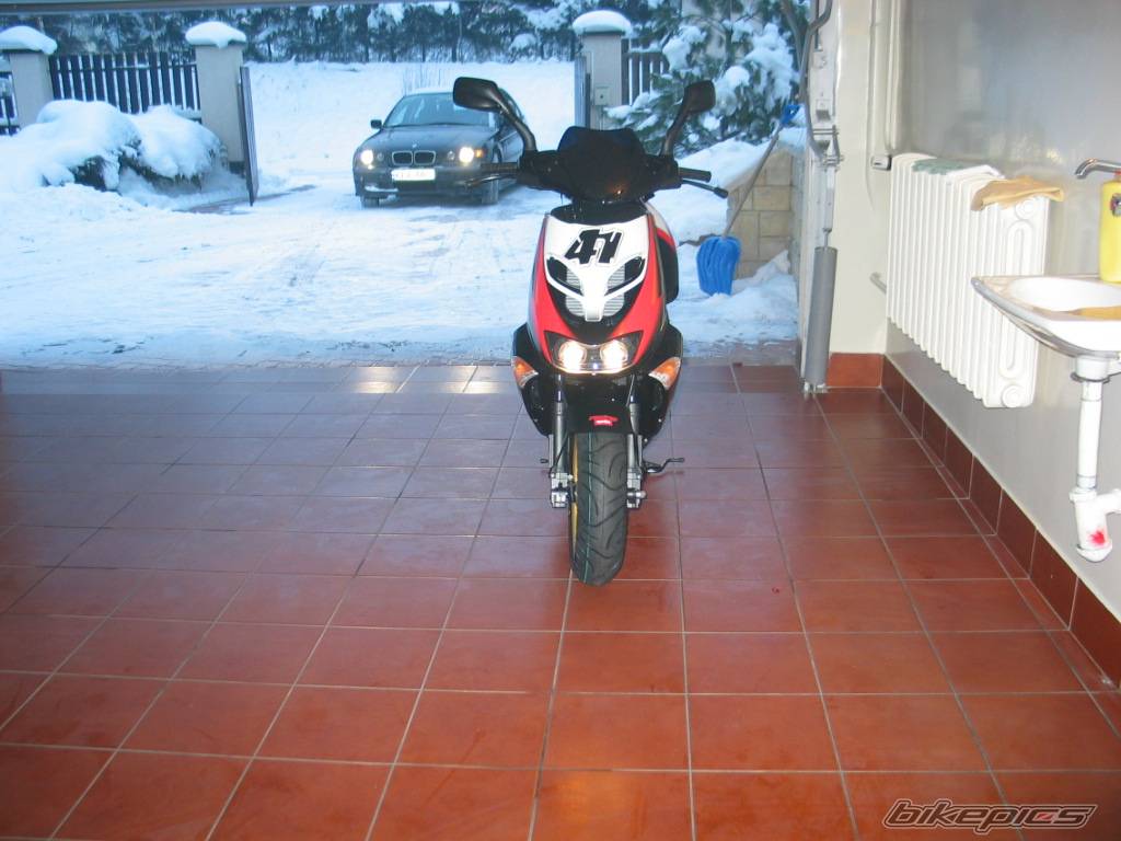 Photo 221261