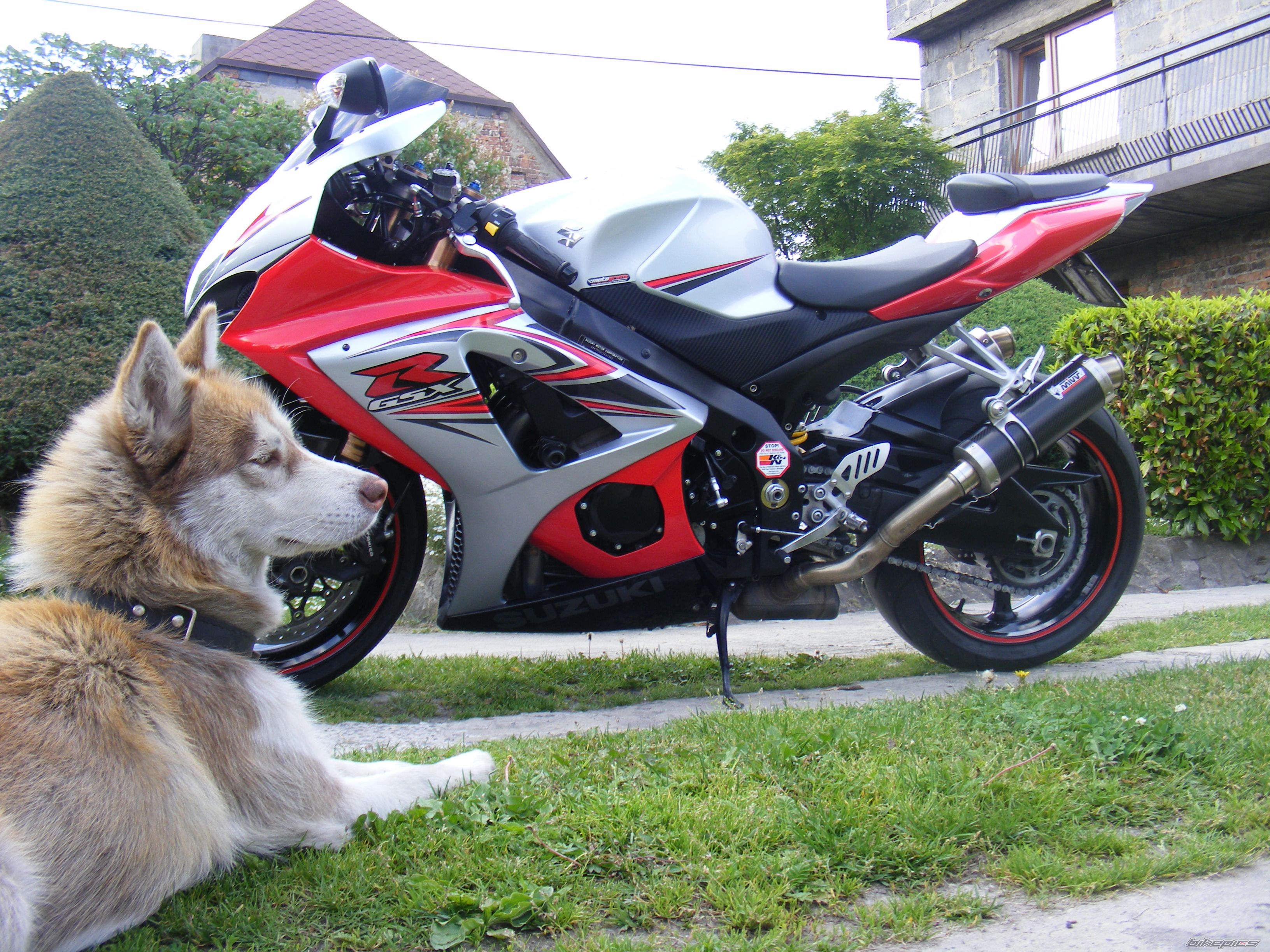 Photo 2212751