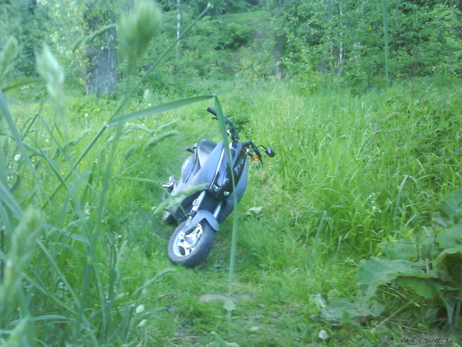 Photo 2212821
