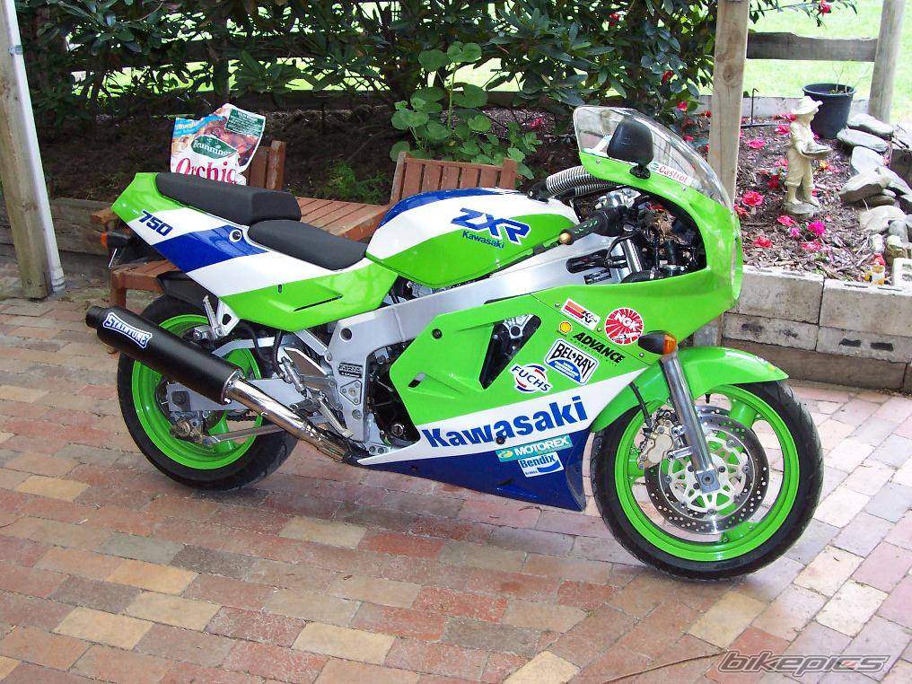 Photo 221295