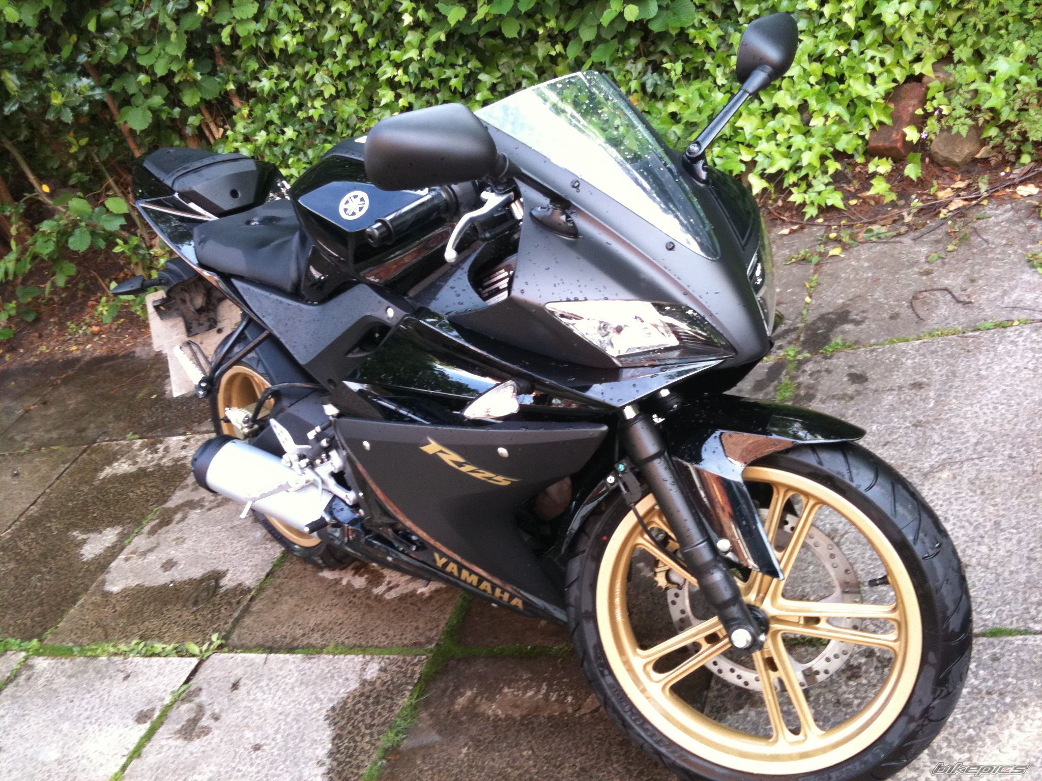Photo 2213010