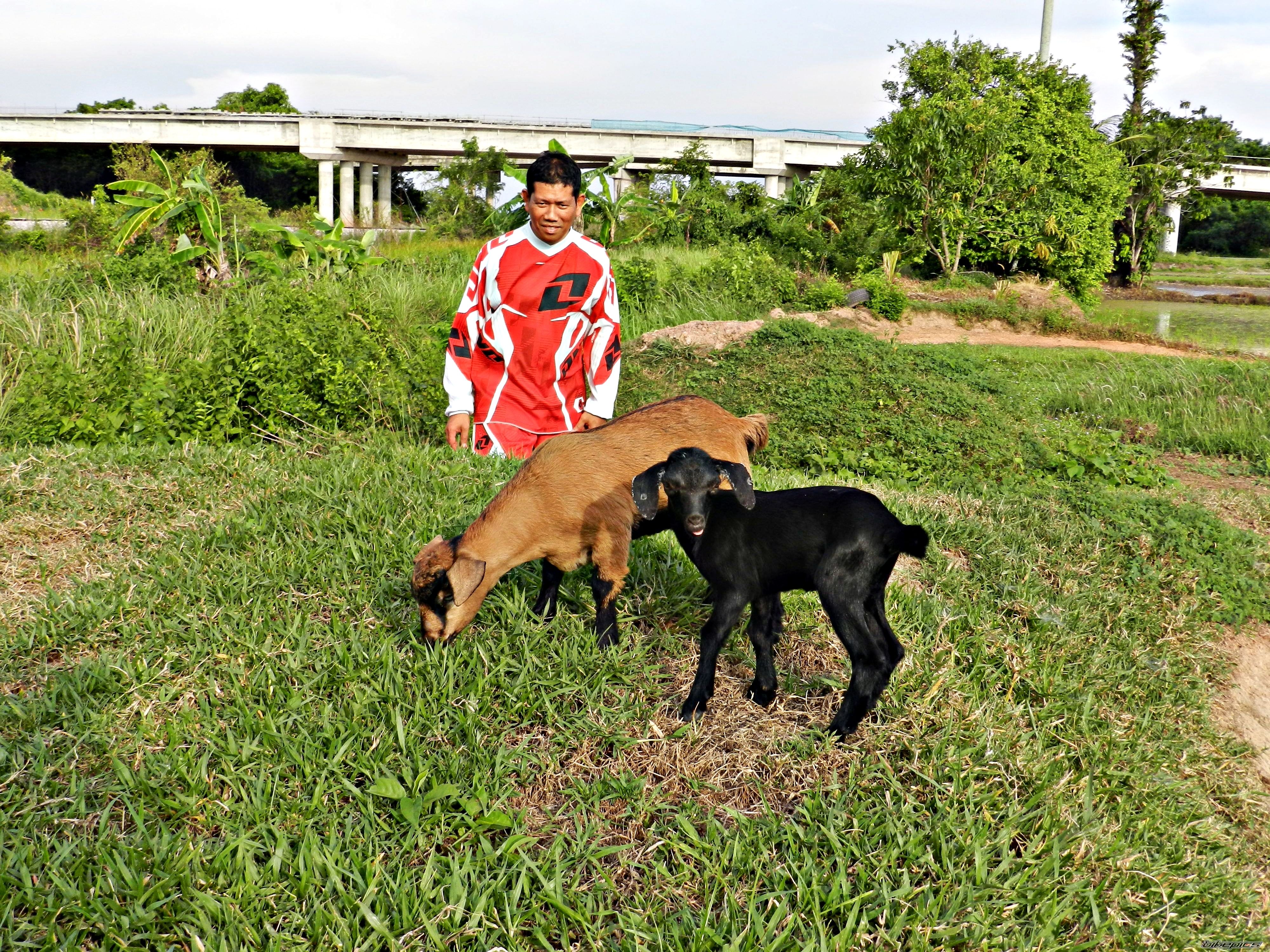 Photo 2213189