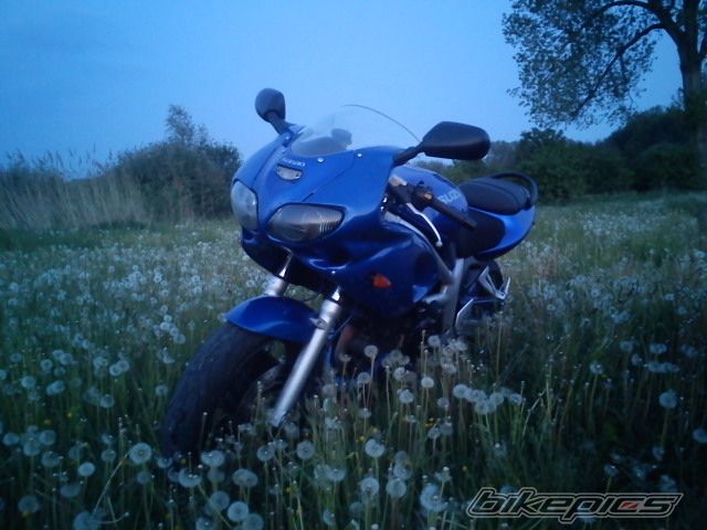 Photo 2213190