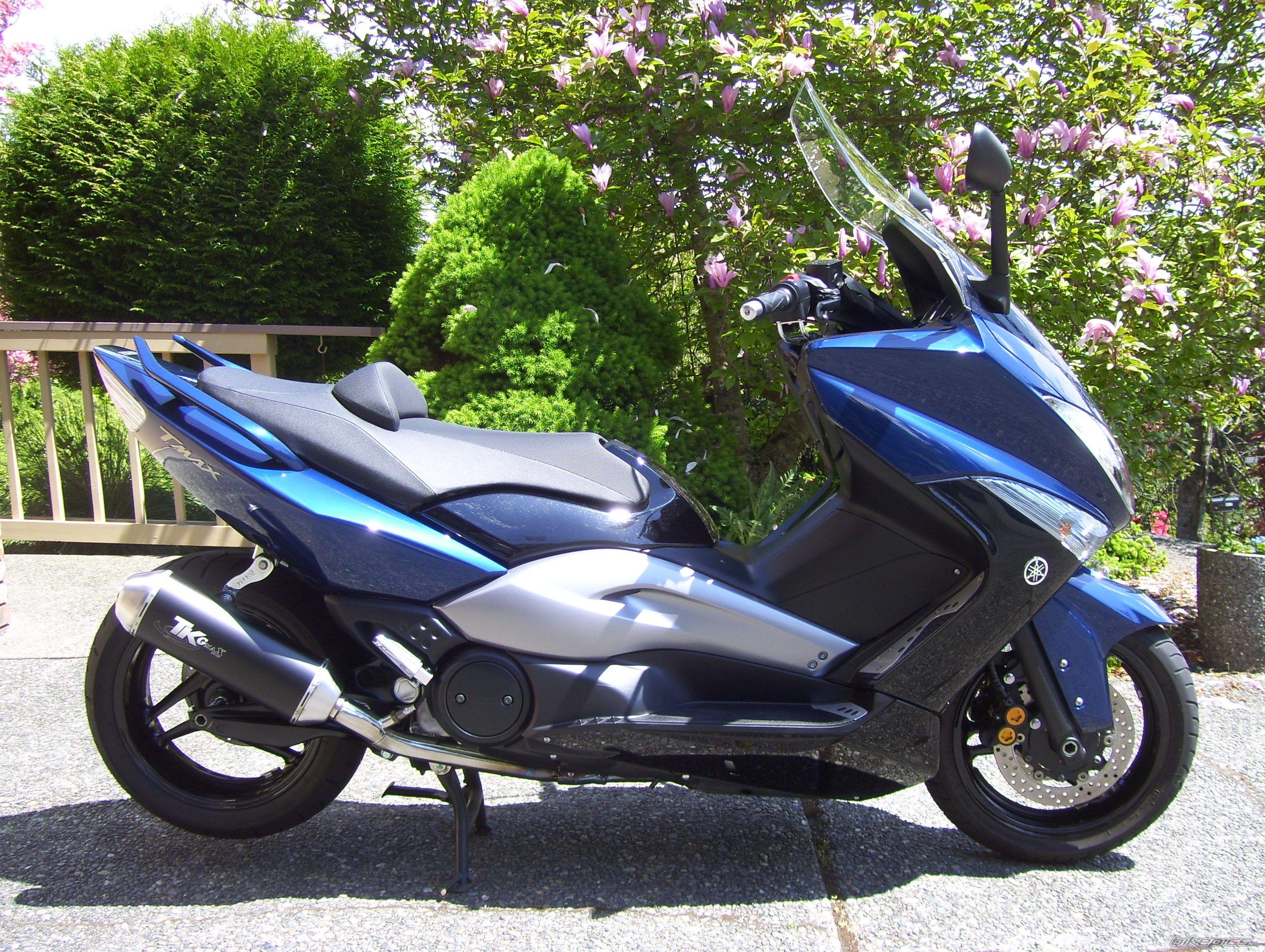 Photo 2213482