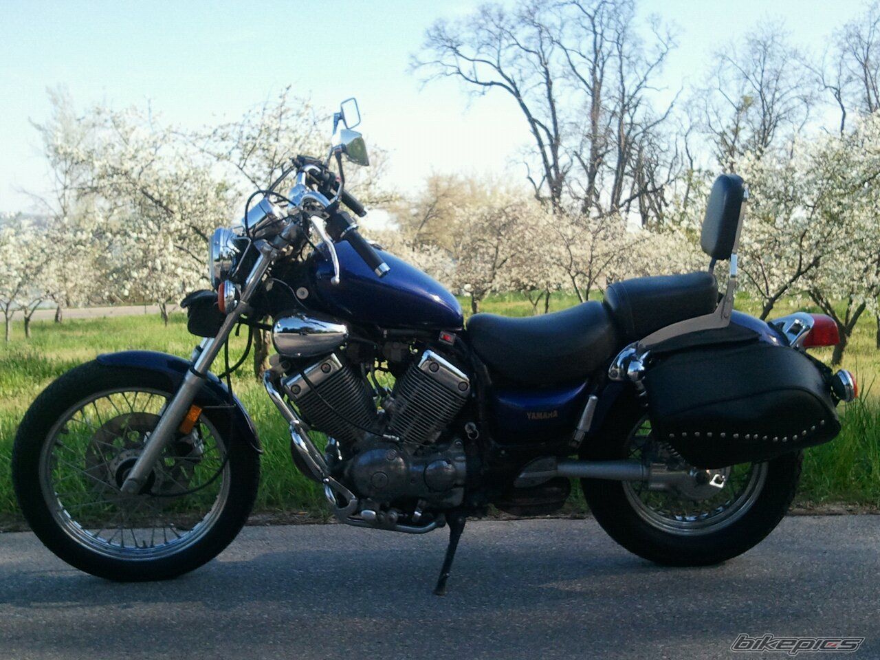 Photo 2213565