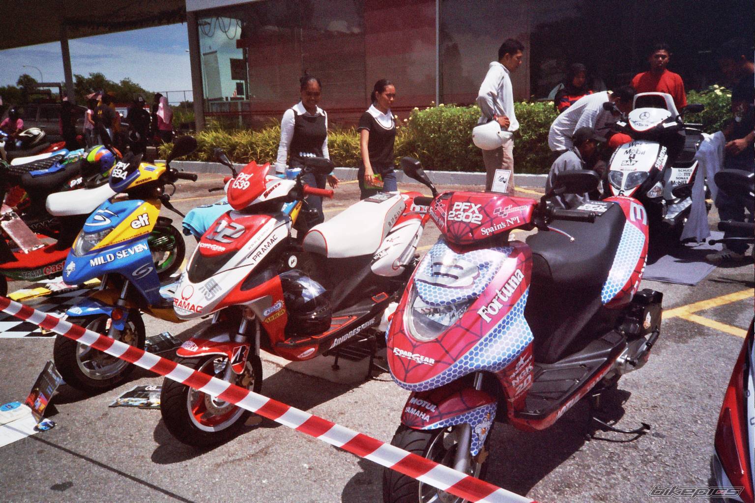 Photo 221390