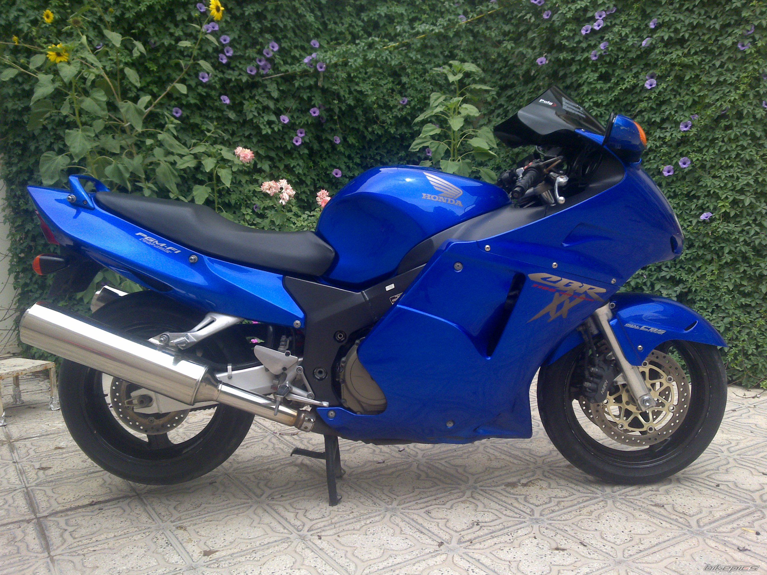 Photo 2213957